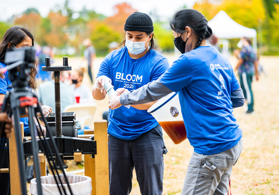 Two participants preparing to pour cups of apple cider. BLOOM cider press in Jimi Hendrix Park, 2020. Photo courtesy of Dancing in the Rain. 