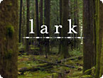 Lark: Cooking Against the Grain